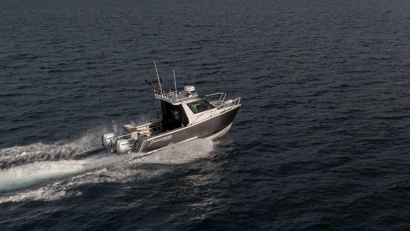 Kingfisher 670HT Powercat