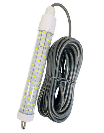 LED Lure Lamp
