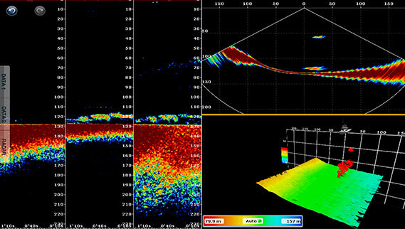 Furuno DFF-3D Multi Beam Sonar Box