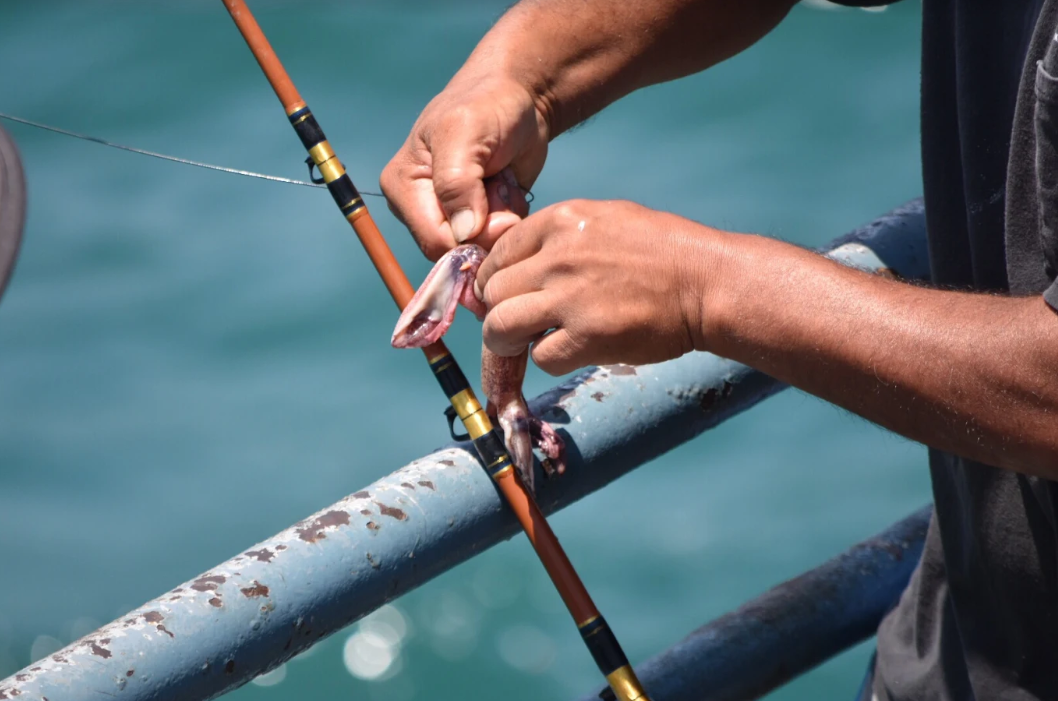 How to fish with bait