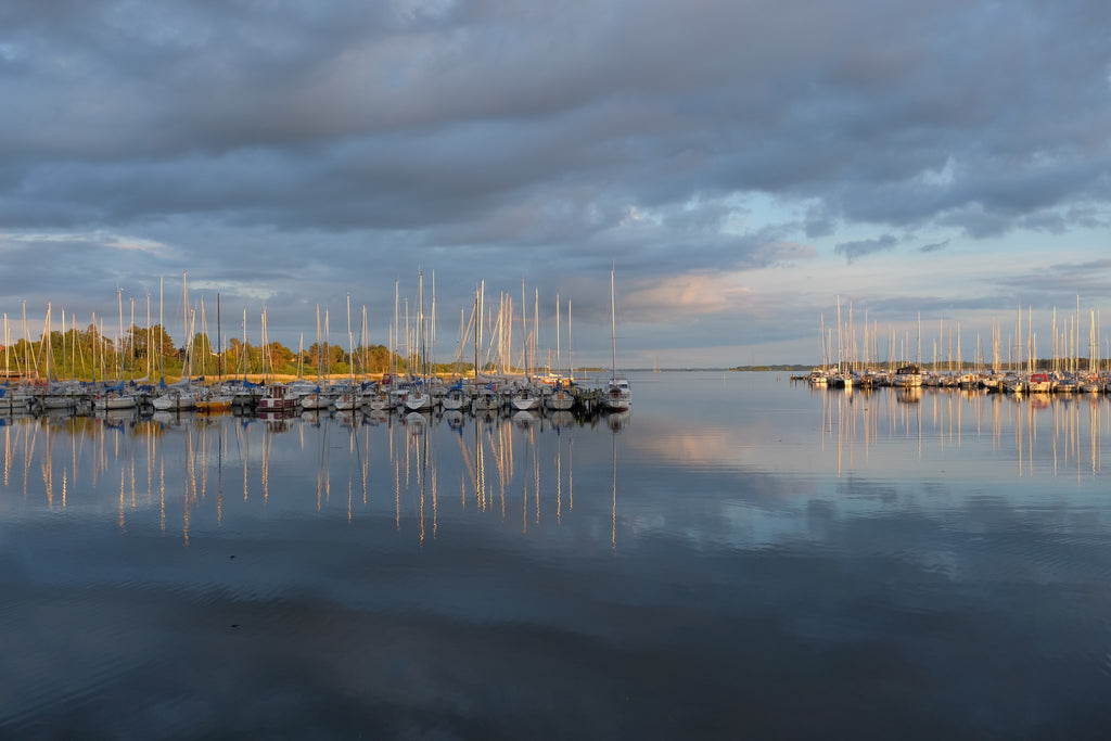 3 secrets to fishing in harbours and bays