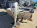 De Havilland 4.6m Runabout