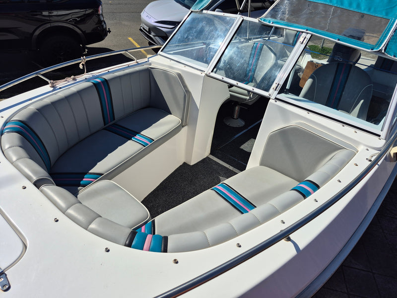 BFG 17ft Sea Rider Bowrider