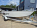 Quintrex 440 Busta