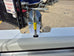 Quintrex 540 Cruiseabout - 2024 PLATE CLEARANCE SPECIAL