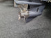 Revival 590 Bowrider