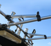 Rocket Launcher Bimini Extension Kit - 2 sizes in 3 colours