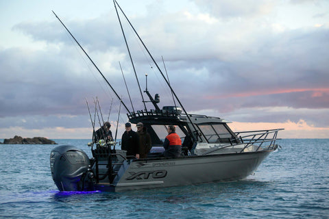 Offshore 850 Hard Top