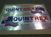 Quintrex Hull Decal on Silver Background - Pair